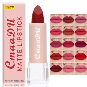 15 Color Womens Matte Moisturizing Waterproof  Matte Lip Gloss(15PCS) - 15PCS