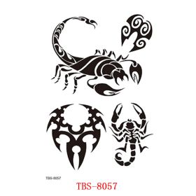 Waterproof Tattoo With Totem Characters (Option: 8057.)