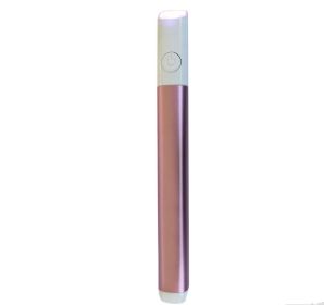 Acne Pen Acne Marks Rehabilitation Instrument Facial Beauty Red Blue Light LED Anti-acne Apparatus (Option: Rose Gold)